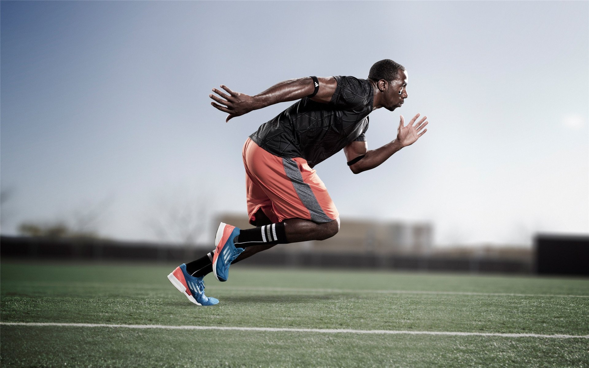 随机“荒野追击：沙漠与山林的极限战斗”，荒野 沙漠