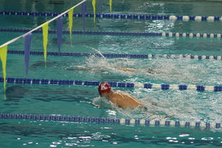 爱游戏体育app-张雨霏自由泳接力助队夺冠，张雨霏自由泳接力助队夺冠了吗